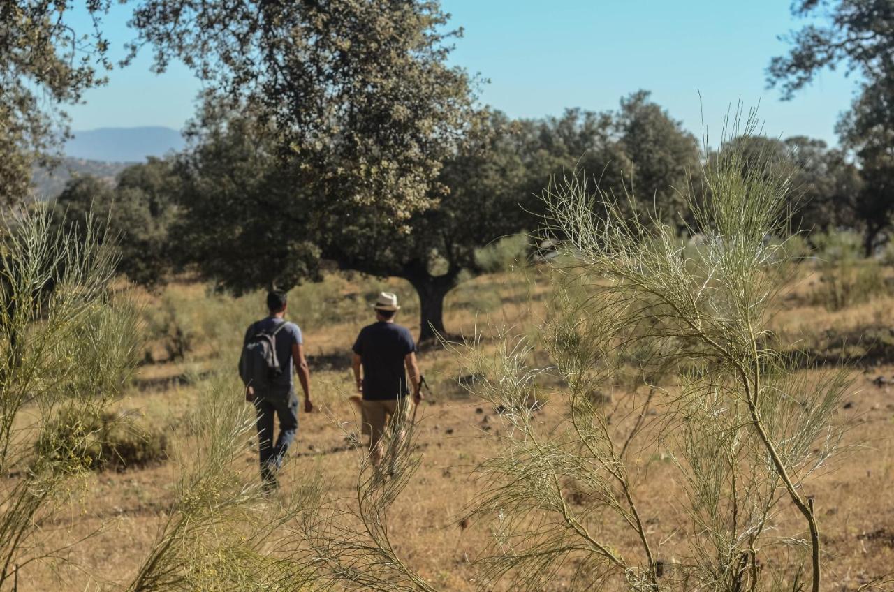 La Dehesa De Don Pedro * Monesterio
