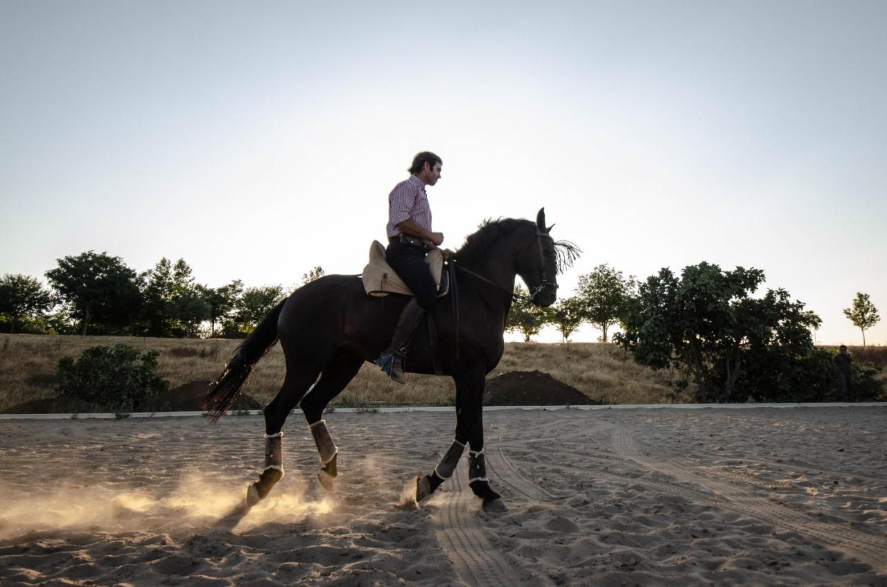 La Dehesa De Don Pedro Monesterio